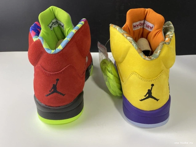 Chep Onekick 5 CZ5725-700 Jordan Retro What The 0710